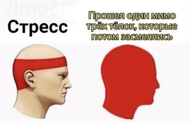 Смех до слёз: подборка лучших приколов