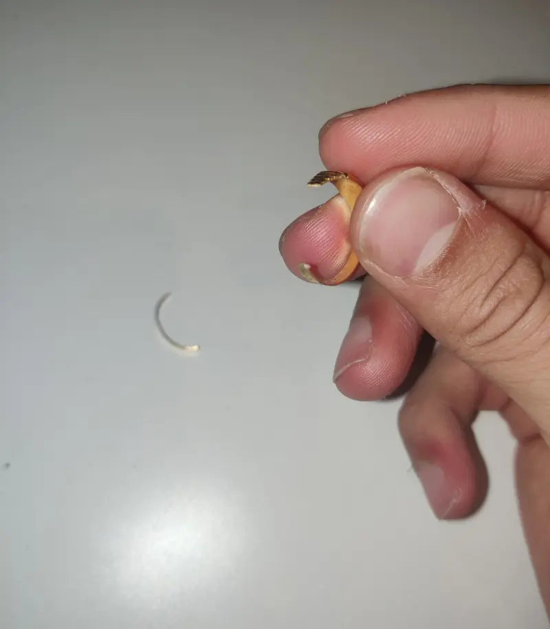 День жестянщика: 27 кадров, когда всё пошло не по плану, но выглядит это забавно