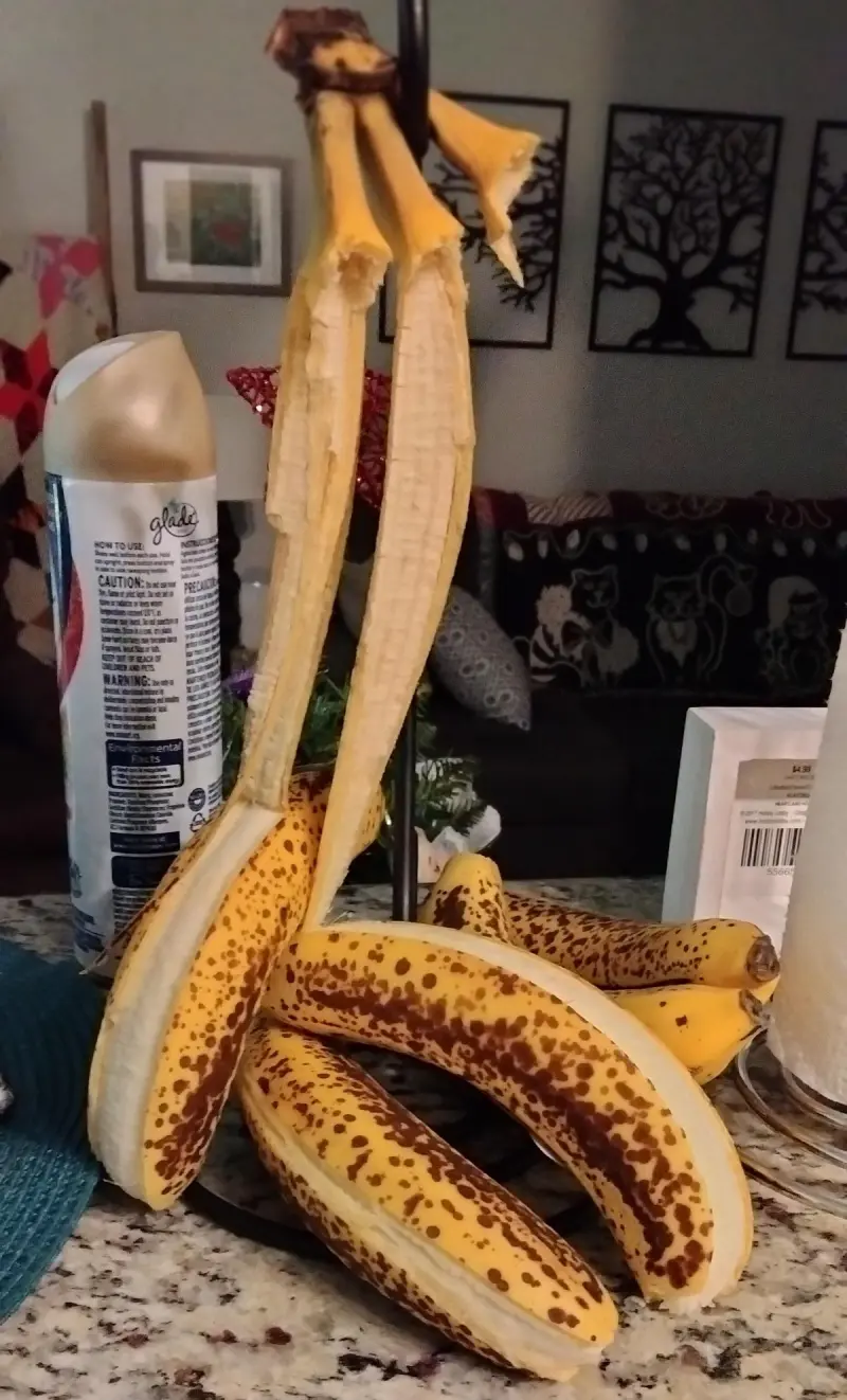 День жестянщика: 27 кадров, когда всё пошло не по плану, но выглядит это забавно