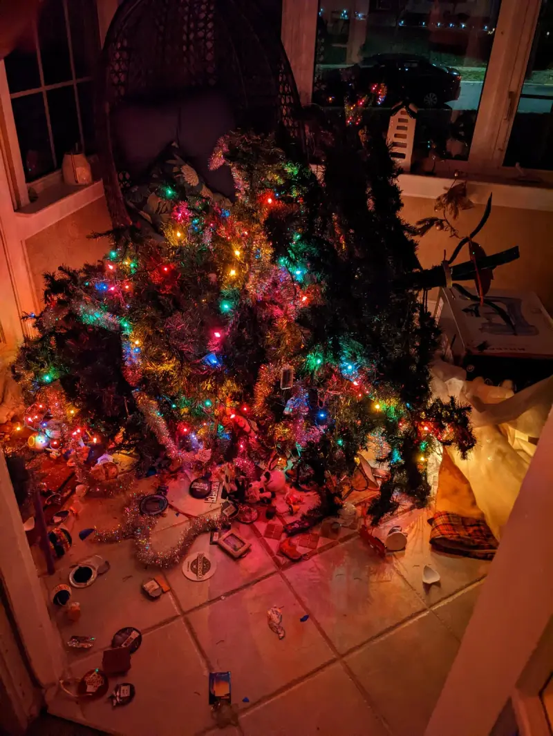 День жестянщика: 27 кадров, когда всё пошло не по плану, но выглядит это забавно