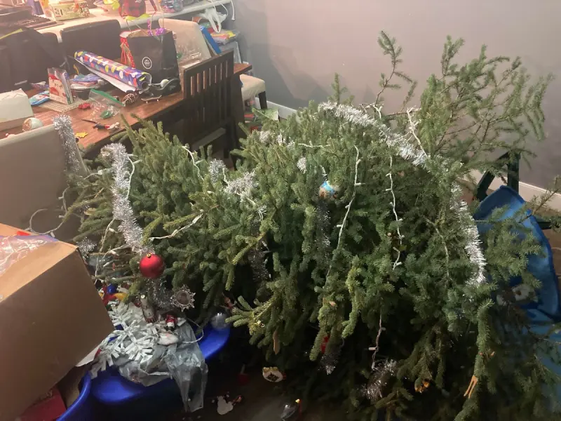 День жестянщика: 27 кадров, когда всё пошло не по плану, но выглядит это забавно