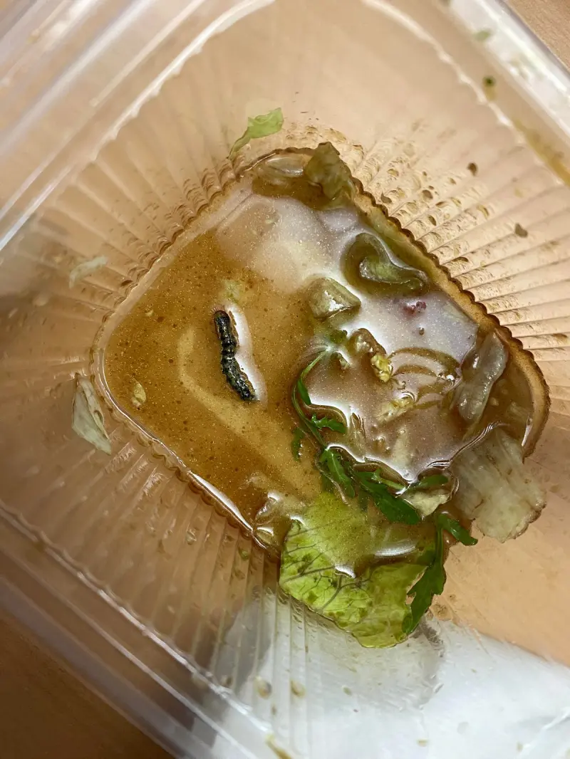 День жестянщика: 27 кадров, когда всё пошло не по плану, но выглядит это забавно