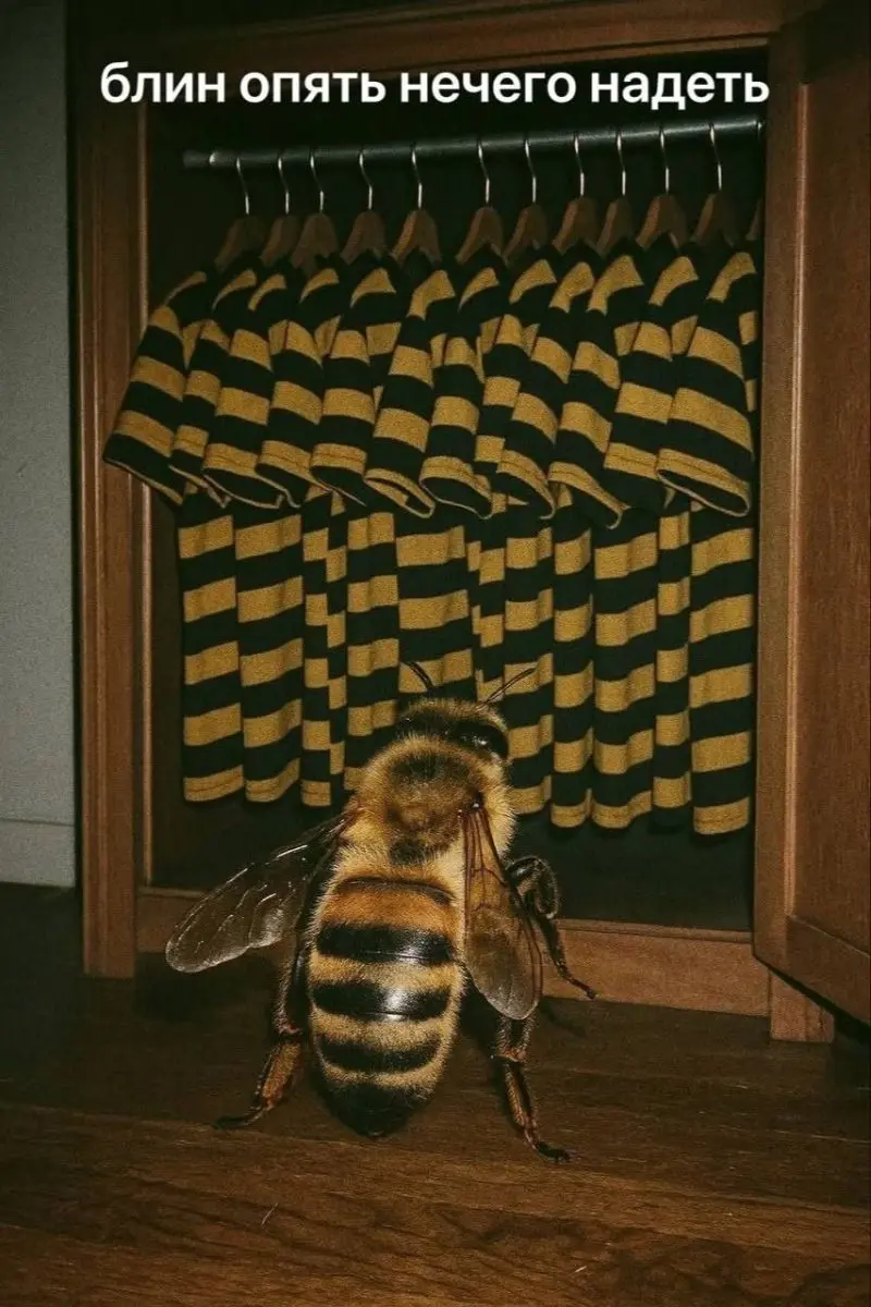 Свежая порция смеха: лучшие мемы прошедшей недели