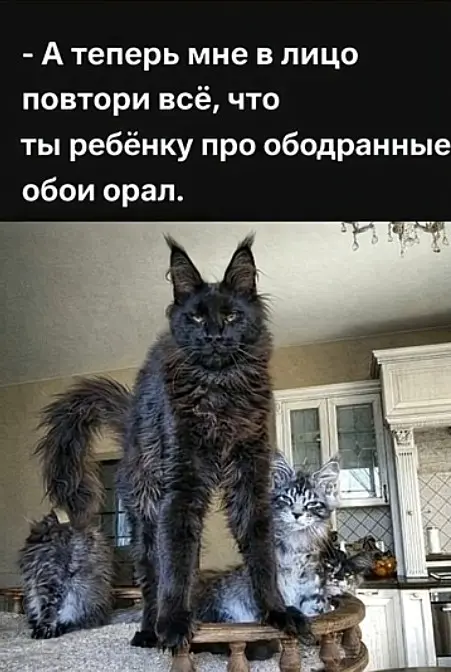 Свежая порция смеха: лучшие мемы прошедшей недели