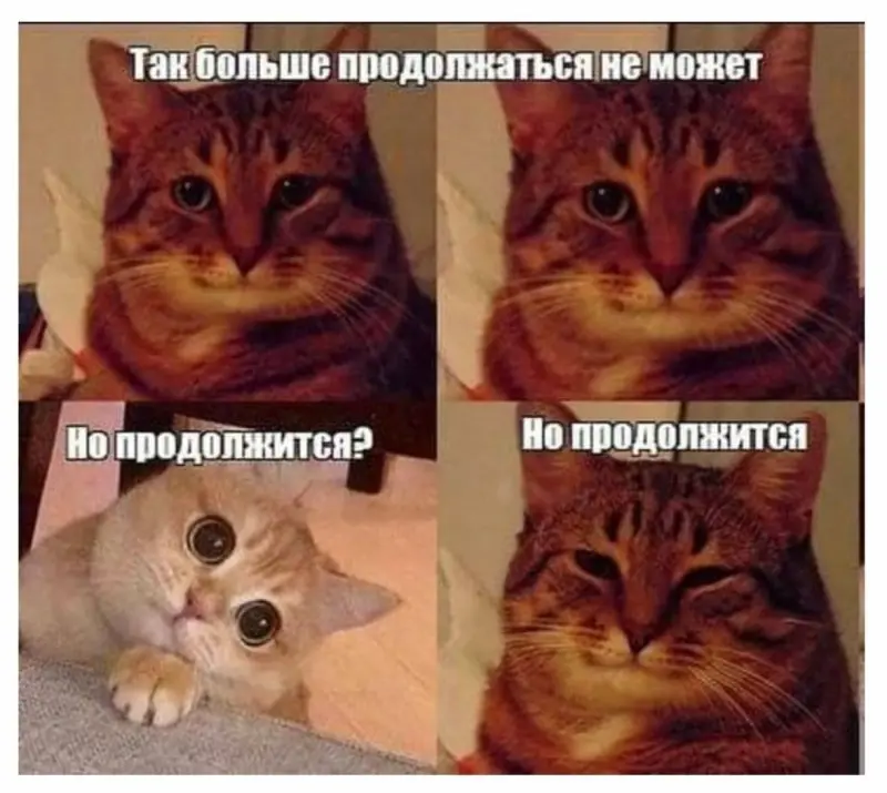 Свежая порция смеха: лучшие мемы прошедшей недели