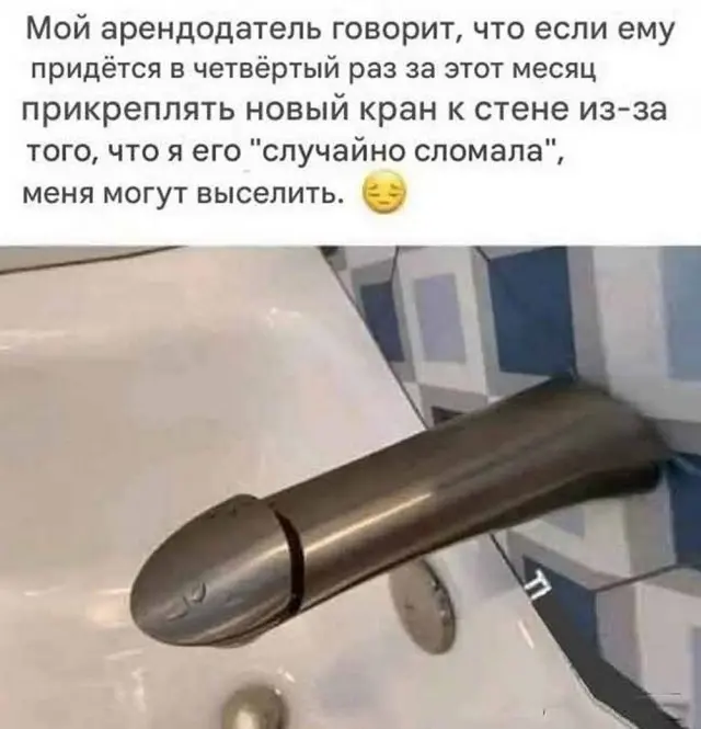 Смех сквозь экран: лучшие приколы для вашего настроения