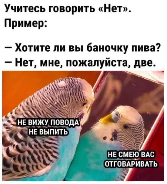 Смех сквозь экран: лучшие приколы для вашего настроения