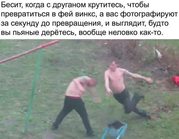 Смех сквозь экран: лучшие приколы для вашего настроения