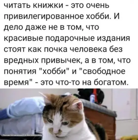 Смех сквозь экран: лучшие приколы для вашего настроения