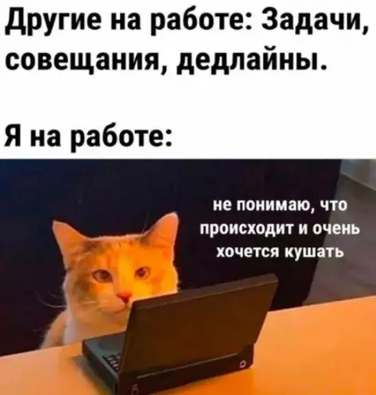 Смех сквозь экран: лучшие приколы для вашего настроения