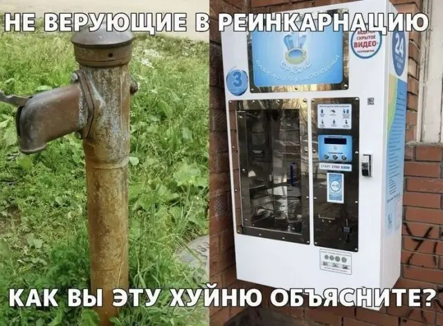 Смех сквозь экран: лучшие приколы для вашего настроения