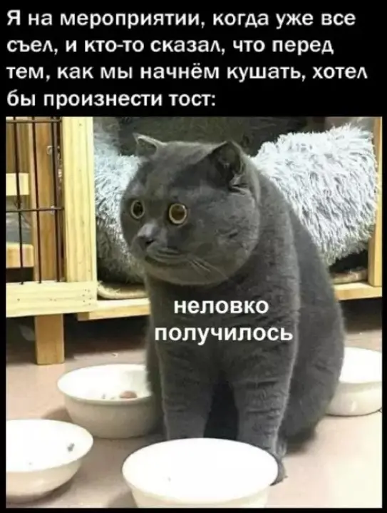 Смех сквозь экран: лучшие приколы для вашего настроения