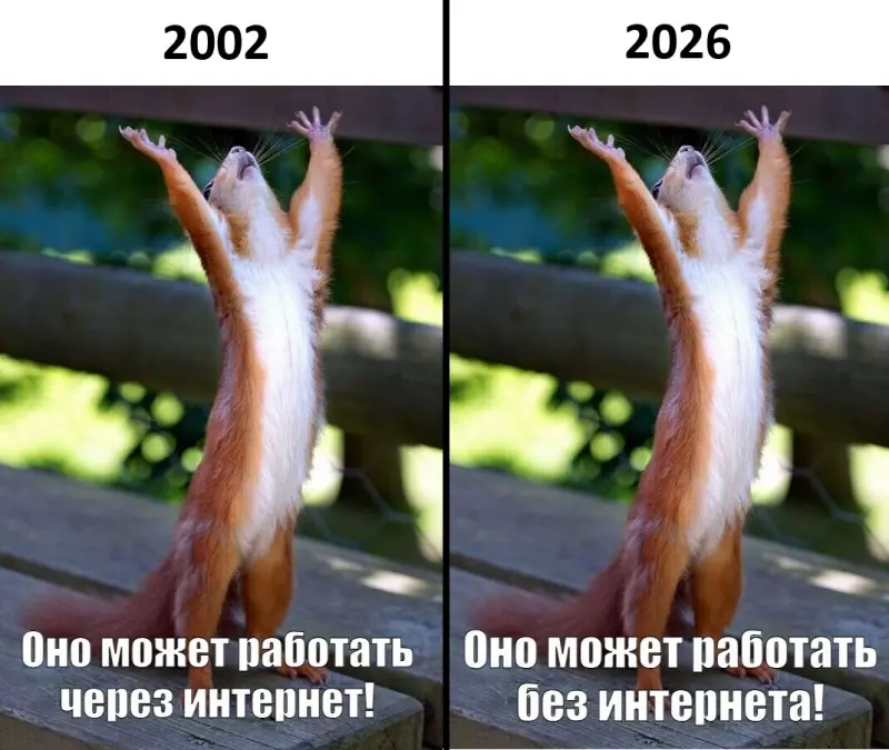 Смех сквозь экран: лучшие приколы для вашего настроения