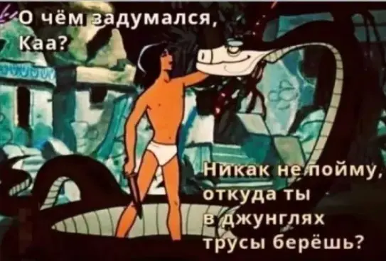 Смех сквозь экран: лучшие приколы для вашего настроения