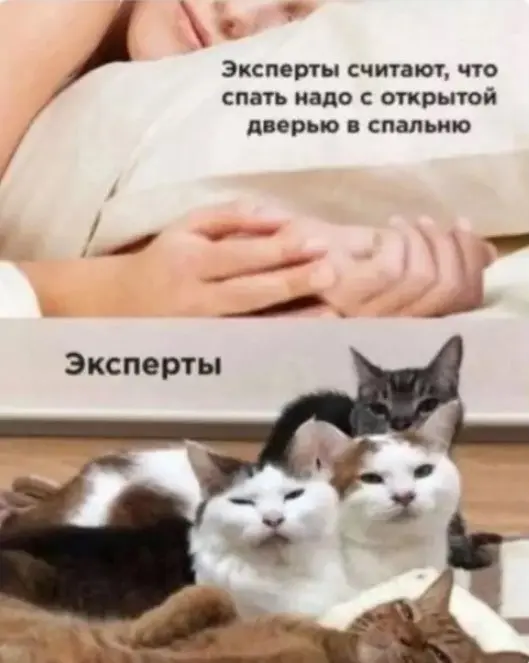 Смех сквозь экран: лучшие приколы для вашего настроения