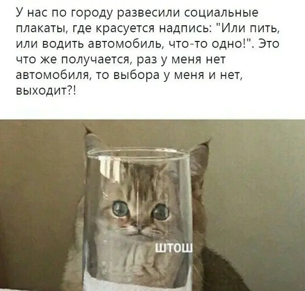 Смех сквозь экран: лучшие приколы для вашего настроения