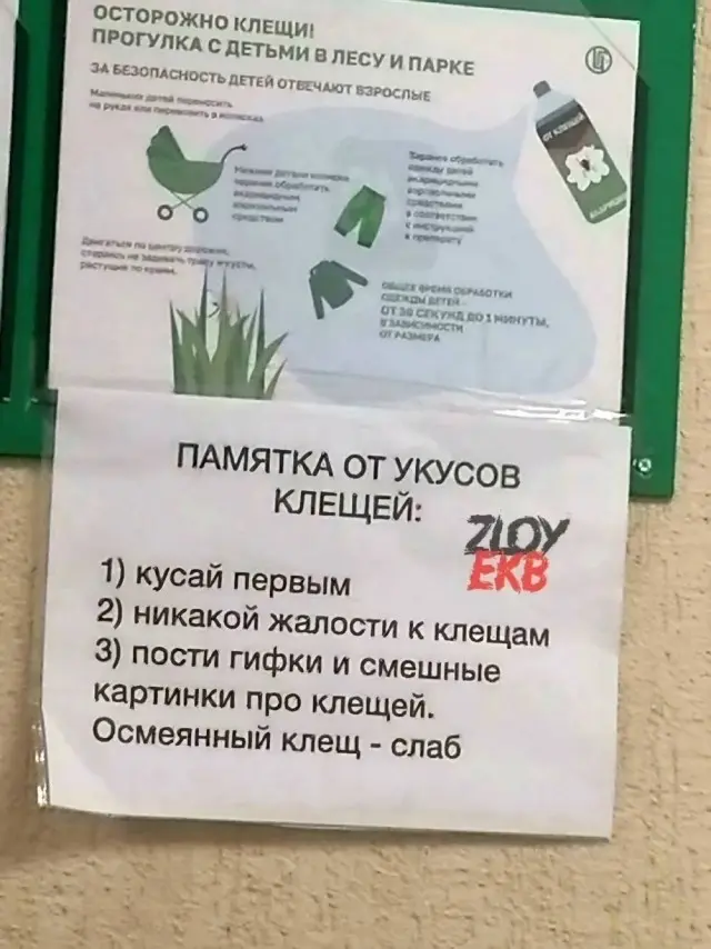 Смех сквозь экран: лучшие приколы для вашего настроения