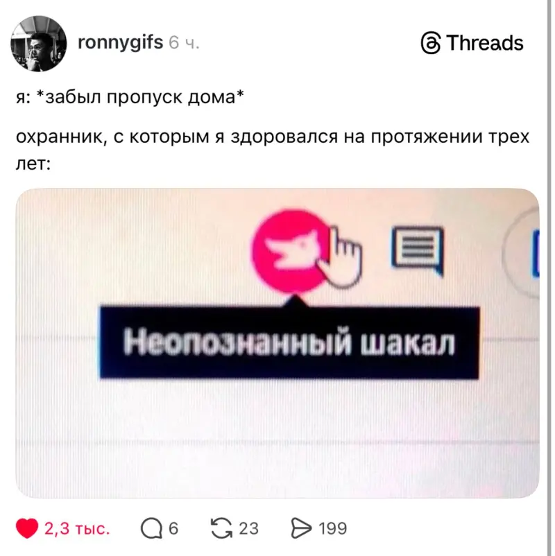 Свежие мемы и смешные комментарии для отличного настроения