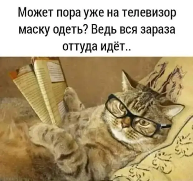 Свежая порция юмора: анекдоты и приколы на все случаи жизни
