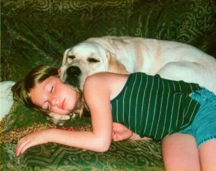 30 фото, доказывающих, что животные — лучшие комики