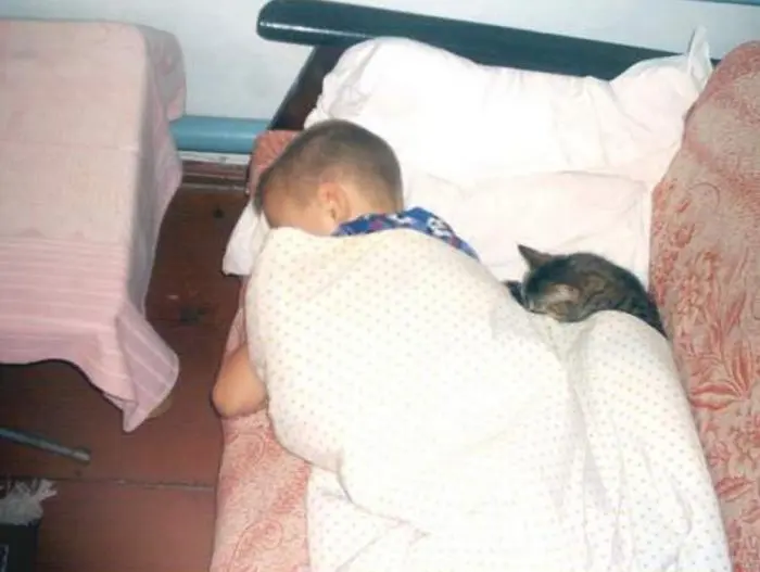 30 фото, доказывающих, что животные — лучшие комики