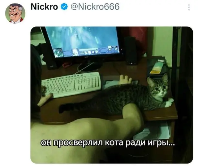 30 фото, доказывающих, что животные — лучшие комики