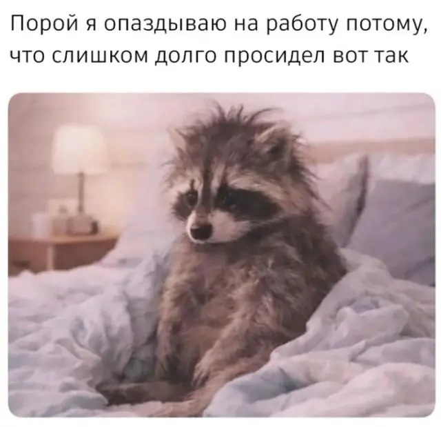 30 фото, доказывающих, что животные — лучшие комики