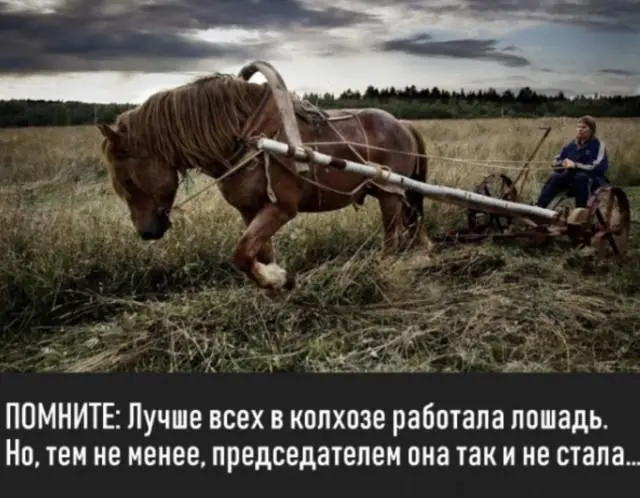 30 фото, доказывающих, что животные — лучшие комики