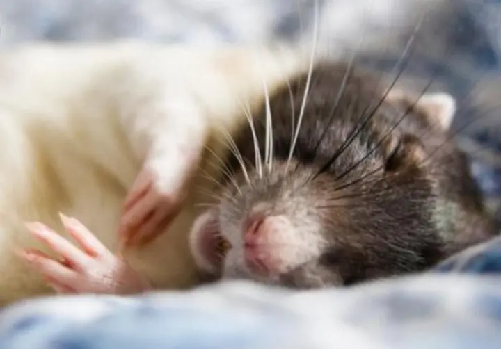 Невероятные факты, которые изменят ваше представление о мире