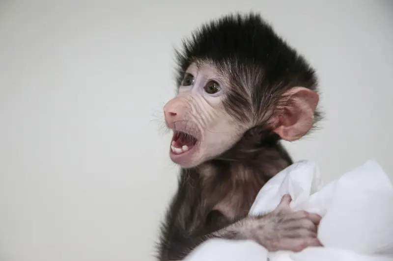 Животный мир в объективе: захватывающие кадры со всей планеты