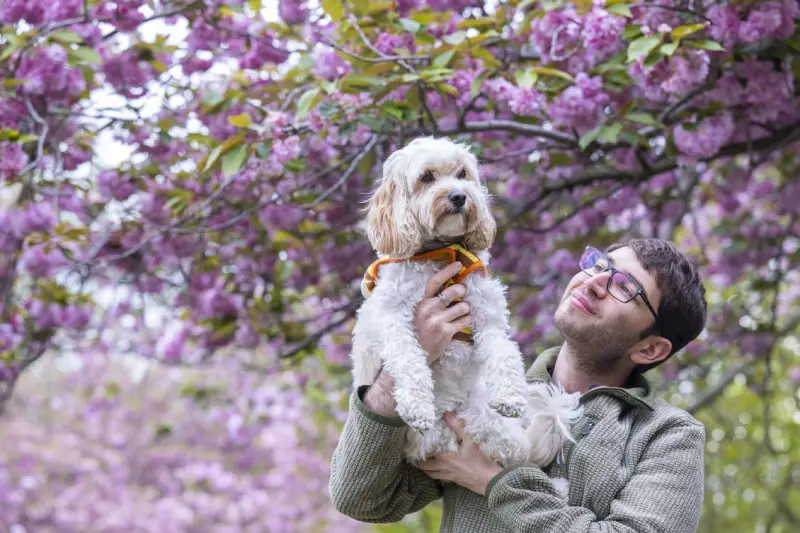 Животный мир в объективе: захватывающие кадры со всей планеты