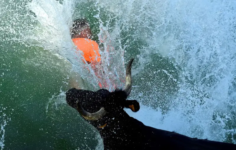 Животные в объективе: удивительные кадры со всей планеты