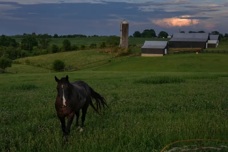 Животные в объективе: удивительные кадры со всей планеты