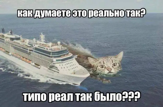 Как кошка в болоте породила мем «Муся, это ты?»: история вирусной шутки