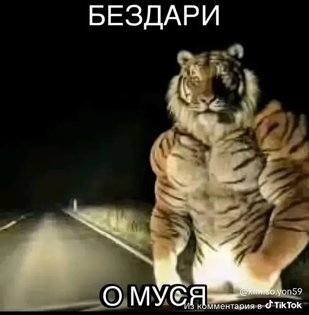 Как кошка в болоте породила мем «Муся, это ты?»: история вирусной шутки