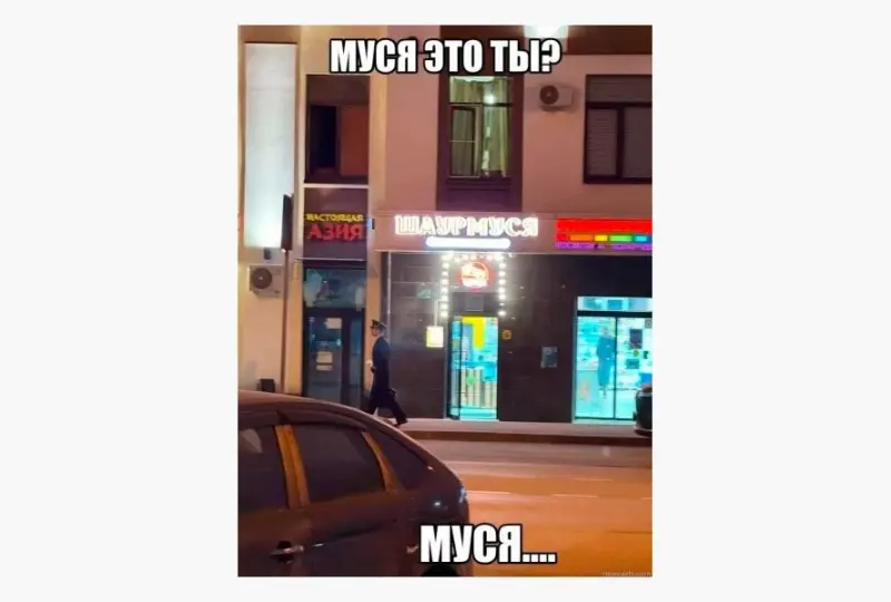 Как кошка в болоте породила мем «Муся, это ты?»: история вирусной шутки