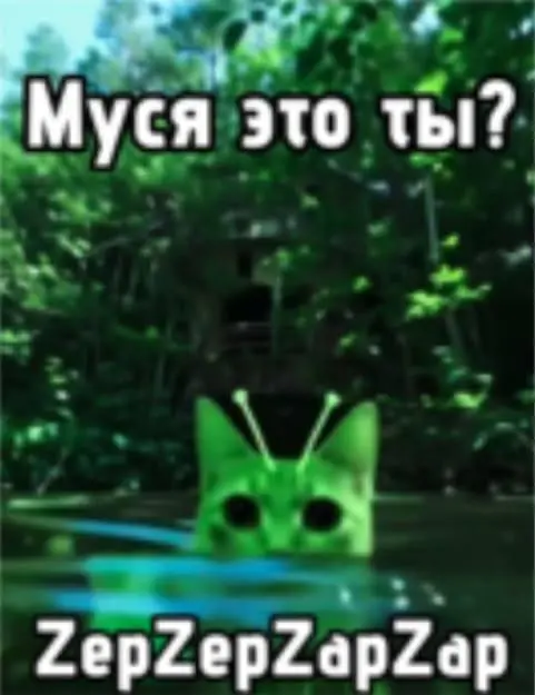 Как кошка в болоте породила мем «Муся, это ты?»: история вирусной шутки