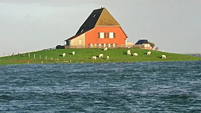 Халлигены: Таинственные острова, которые тонут и появляются в Северном море