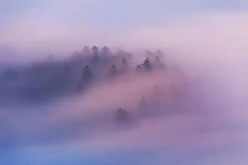 Магия горного тумана: как фотограф ловит первые лучи солнца