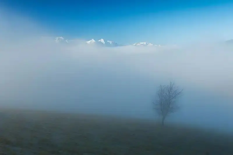 Магия горного тумана: как фотограф ловит первые лучи солнца