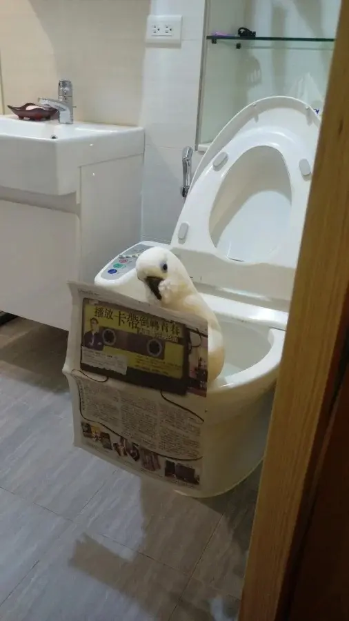 22 фото невероятно милых созданий для мгновенного поднятия настроения