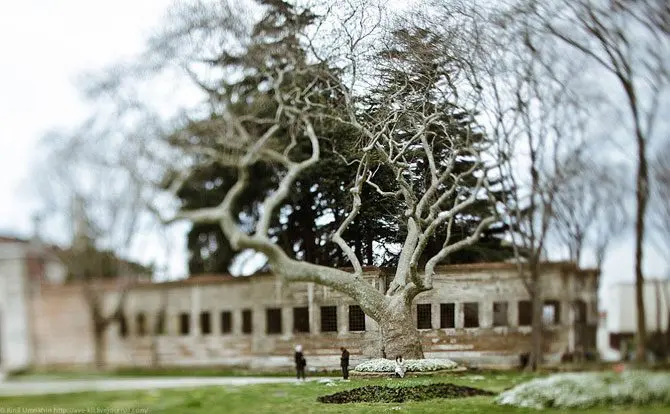 Стамбул: где встречаются Европа и Азия