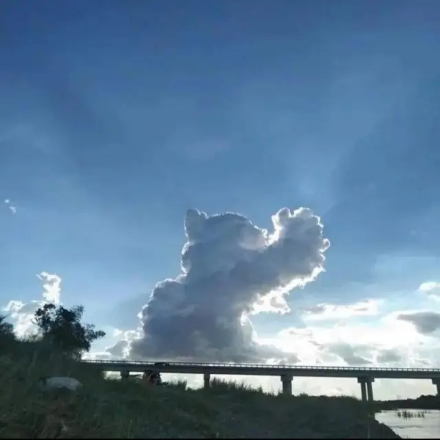 Когда мир притворяется: 20 фото, доказывающих, что парейдолия повсюду