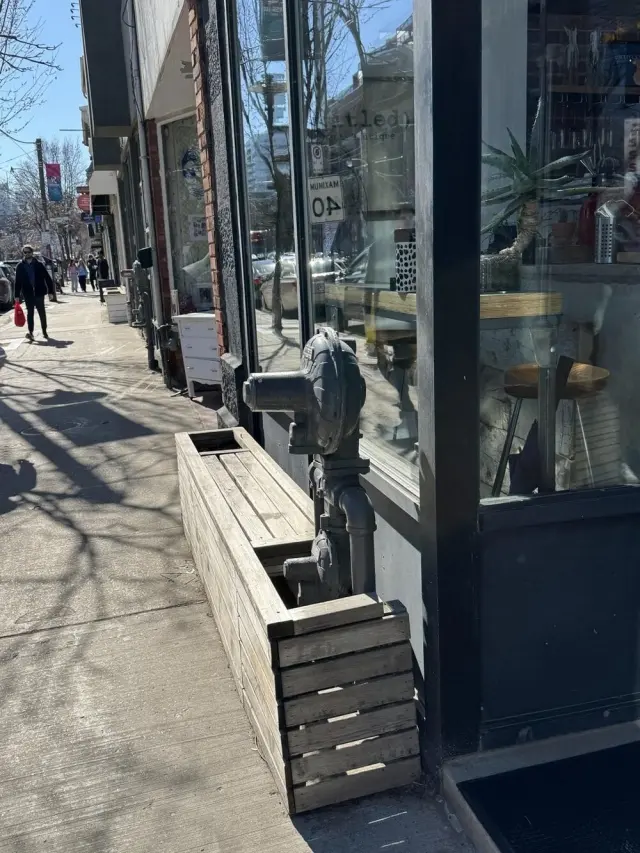 Когда мир притворяется: 20 фото, доказывающих, что парейдолия повсюду