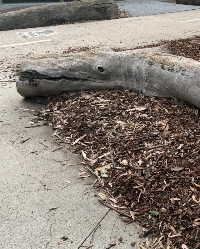 Когда мир притворяется: 20 фото, доказывающих, что парейдолия повсюду