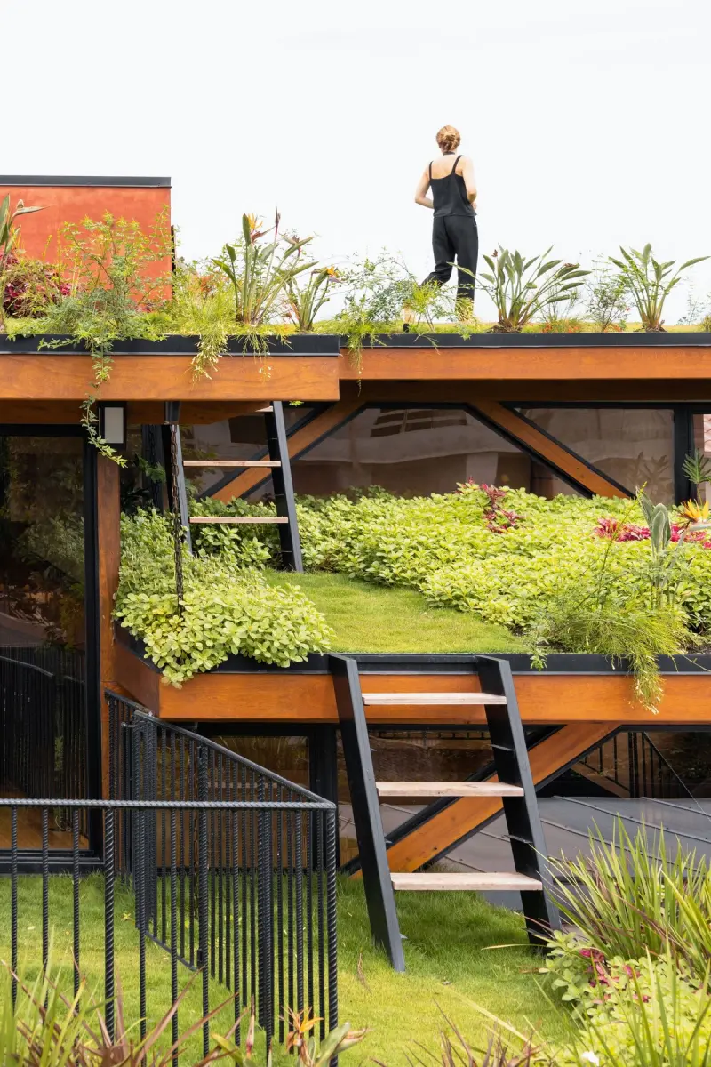 Экодом в Бразилии: Слияние с природой через зеленую крышу и стену из глины