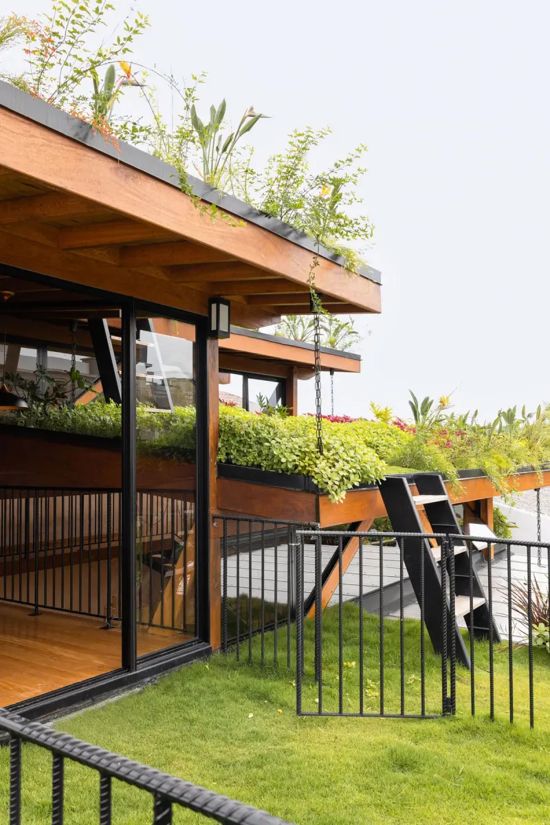 Экодом в Бразилии: Слияние с природой через зеленую крышу и стену из глины