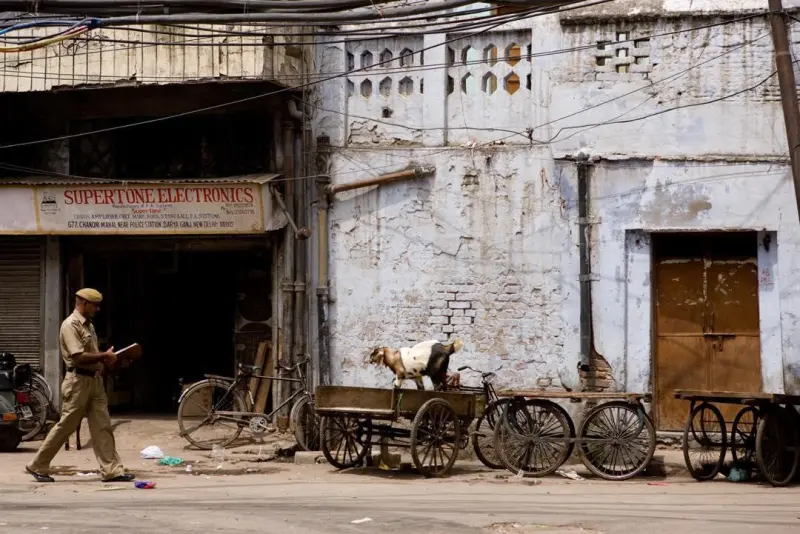 Тихий гений: Как сложилась жизнь Алексея Лебедева, младшего сына Татьяны Толстой