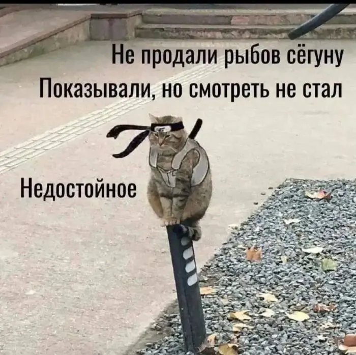 Огромная подборка юмора для "маленькой пятницы": смех до слёз