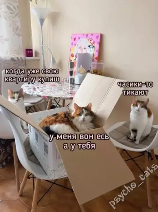 Огромная подборка юмора для "маленькой пятницы": смех до слёз